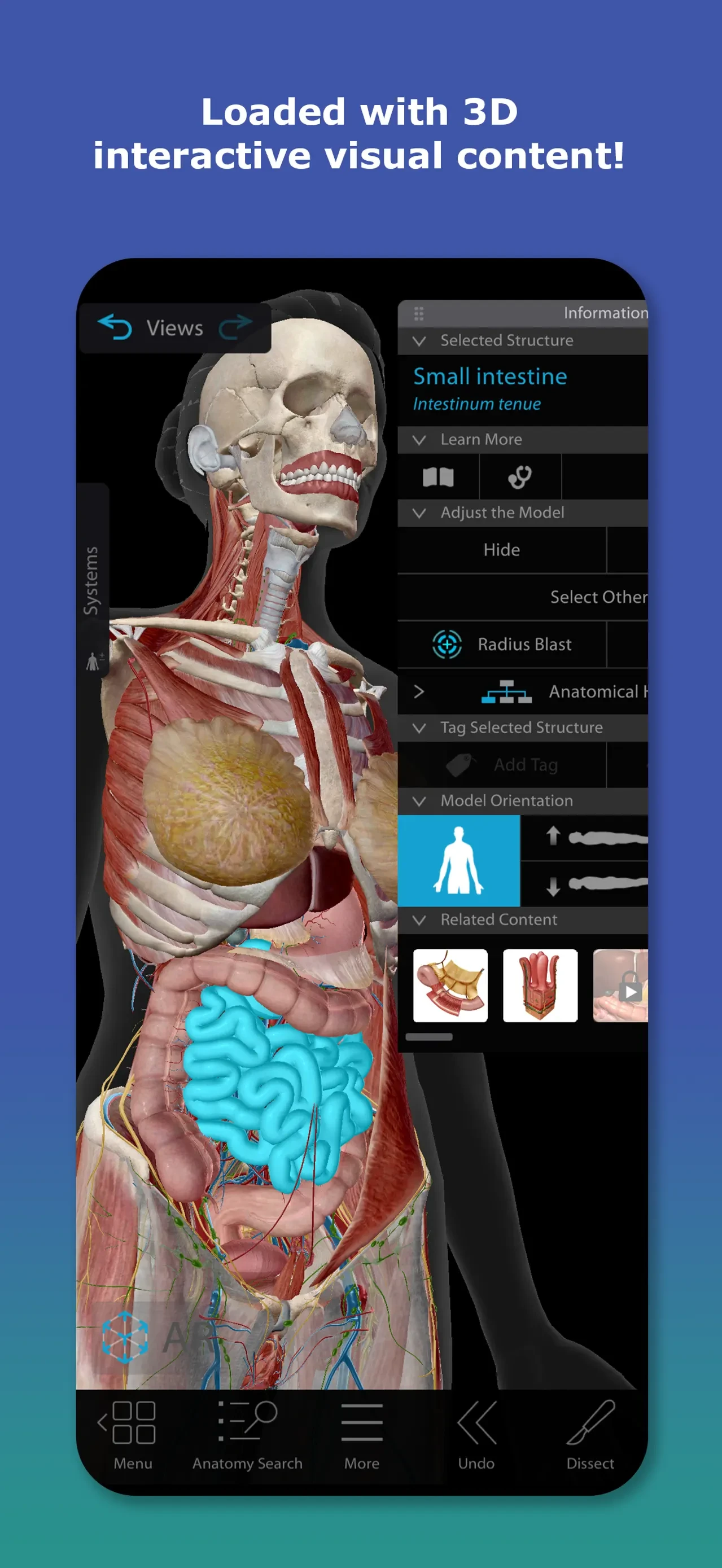 Human Anatomy Atlas 2026 app store screenshot 1 — Medical (iOS)