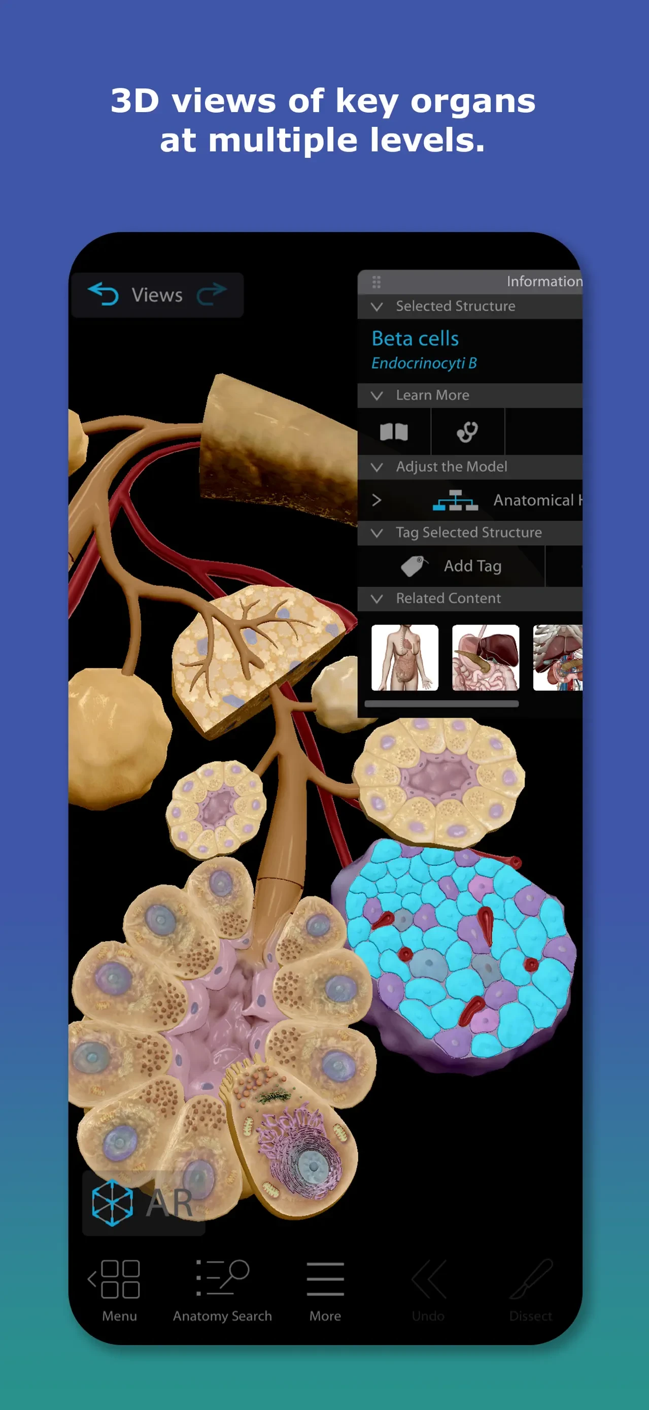 Human Anatomy Atlas 2026 app store screenshot 2 — Medical (iOS)