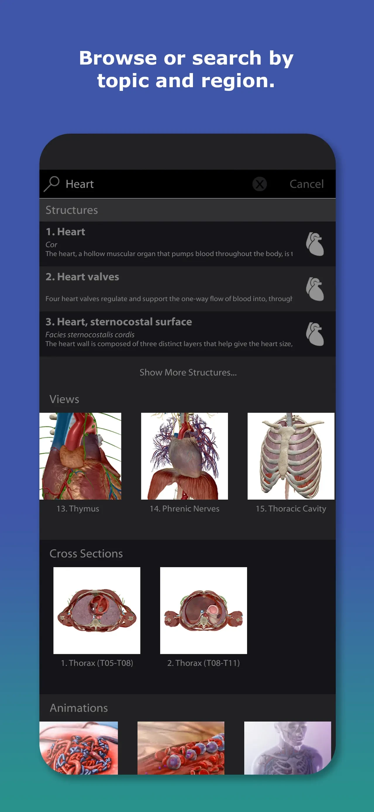 Human Anatomy Atlas 2026 app store screenshot 4 — Medical (iOS)