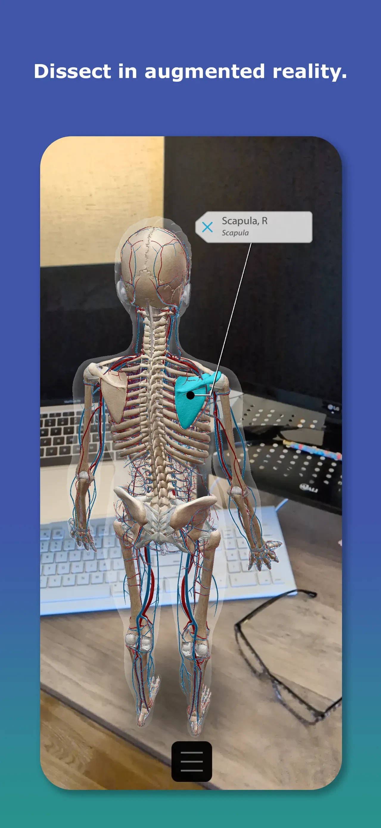 Human Anatomy Atlas 2026 app store screenshot 5 — Medical (iOS)