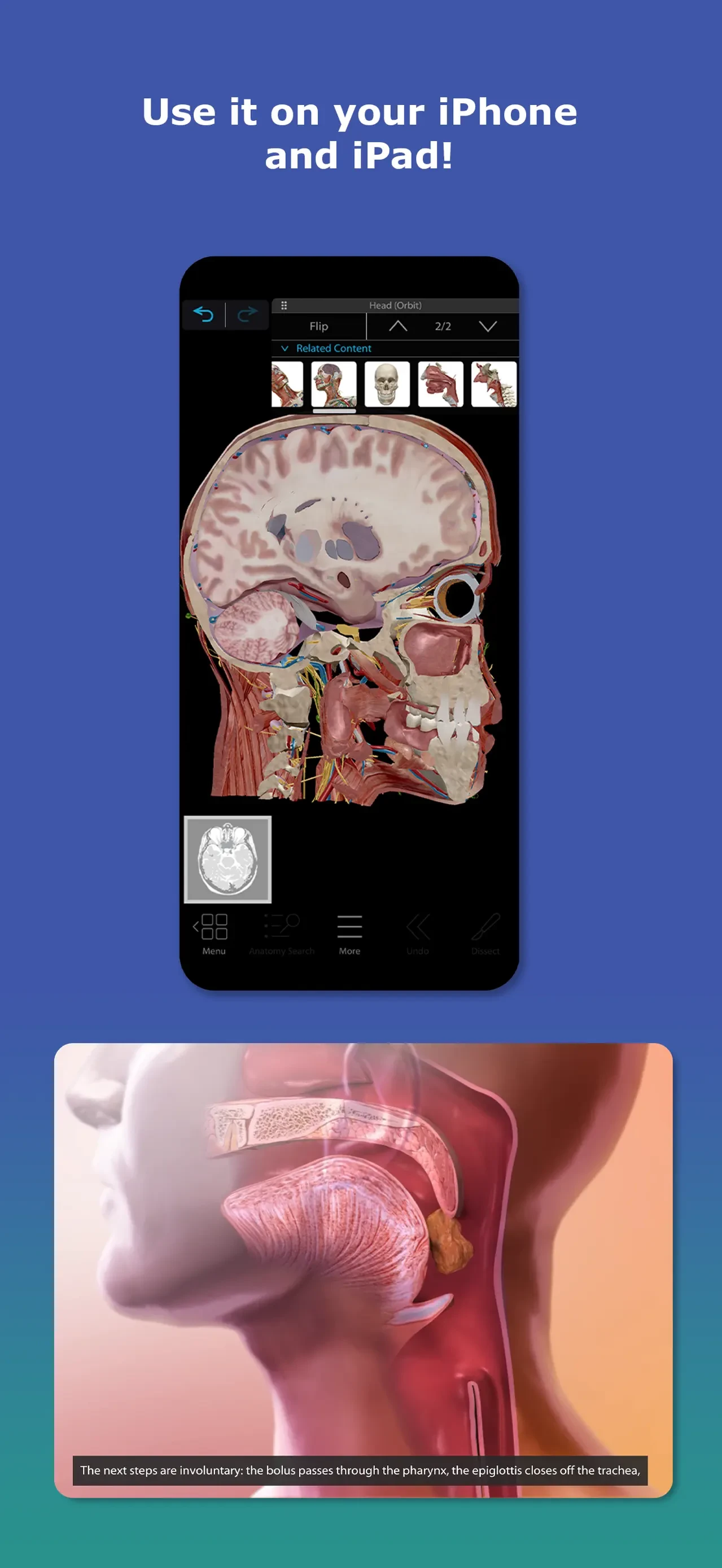 Human Anatomy Atlas 2026 app store screenshot 6 — Medical (iOS)