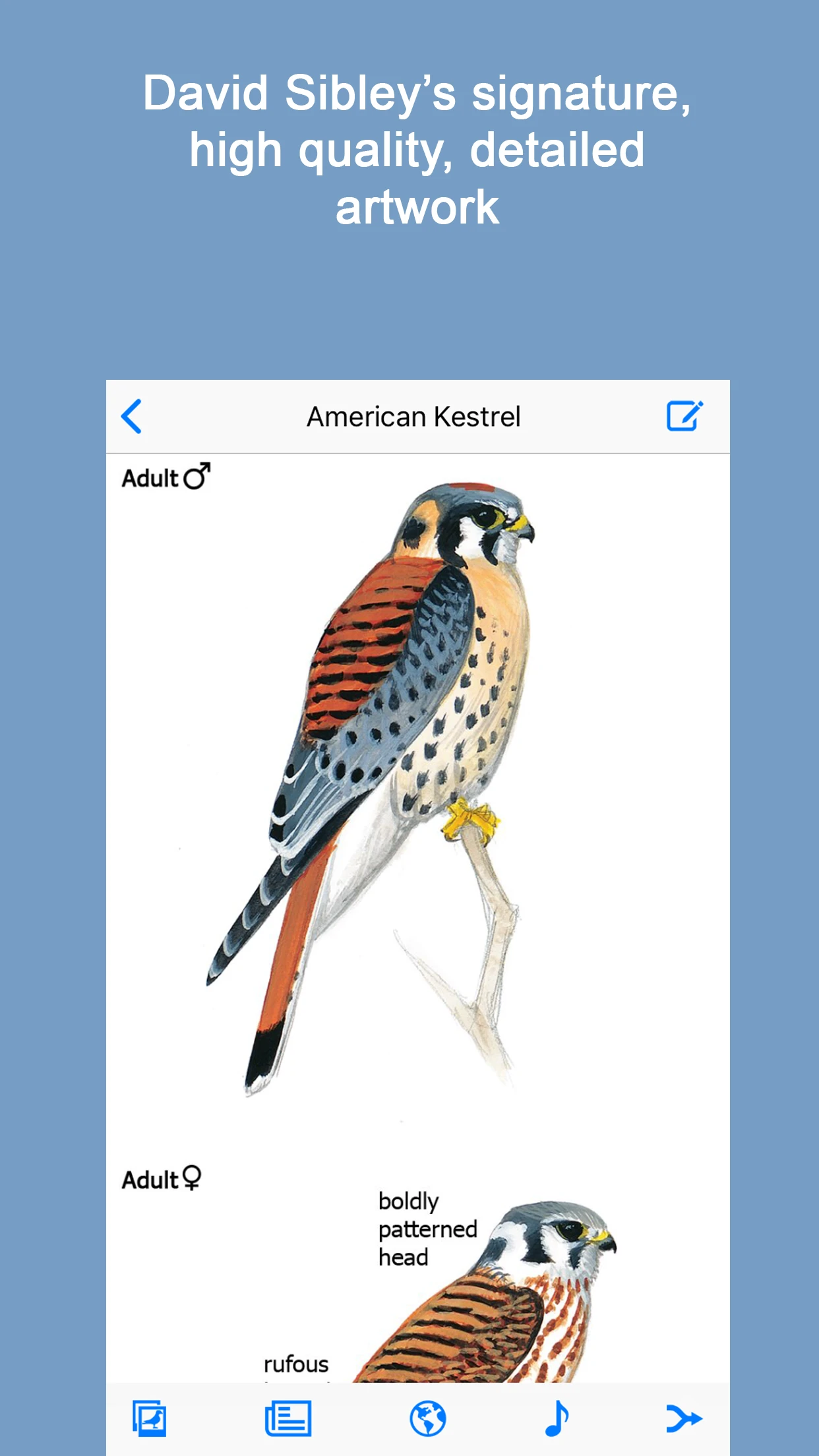 Sibley Birds 2nd Edition app store screenshot 2 — Reference (iOS)