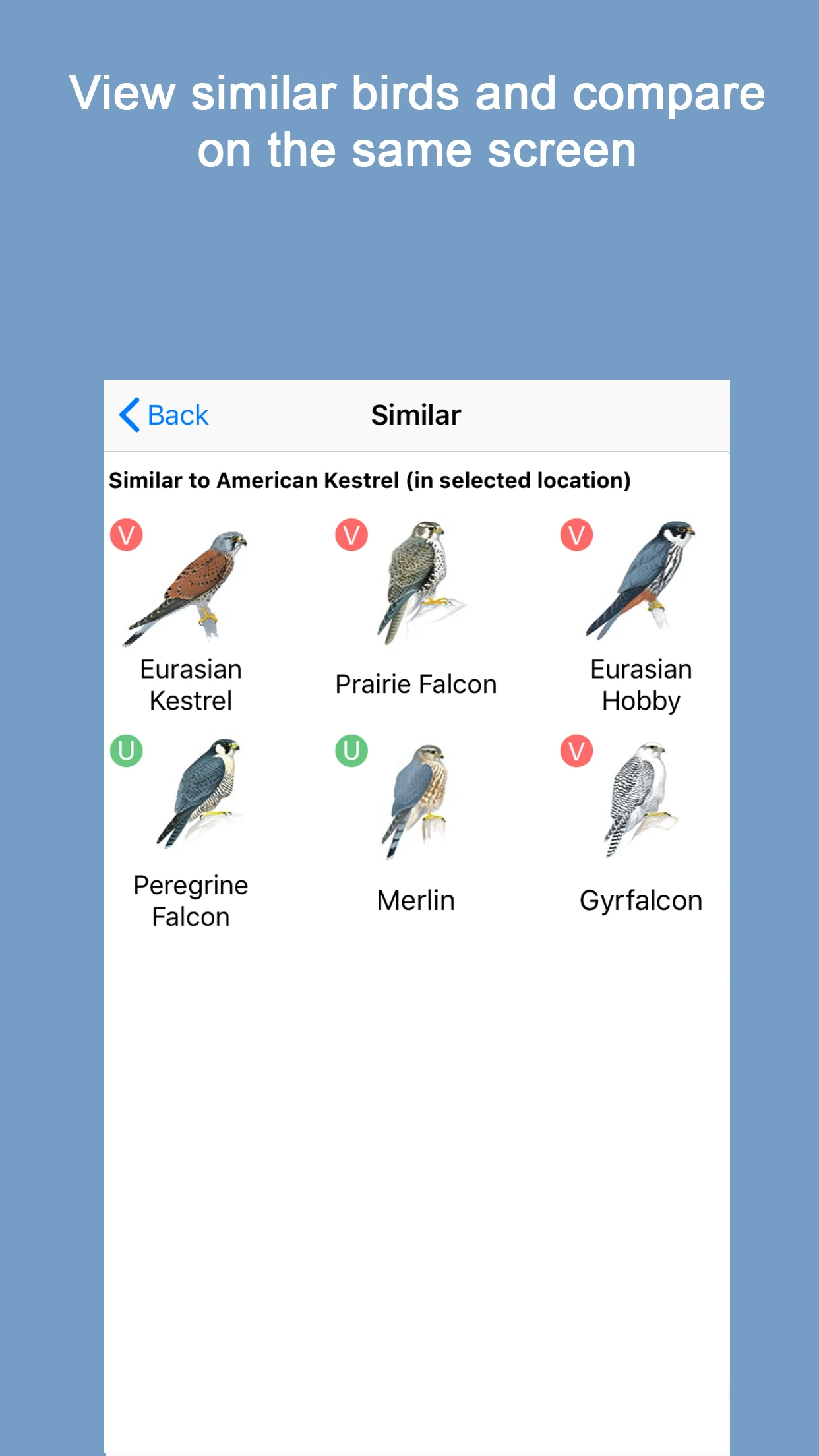 Sibley Birds 2nd Edition app store screenshot 5 — Reference (iOS)
