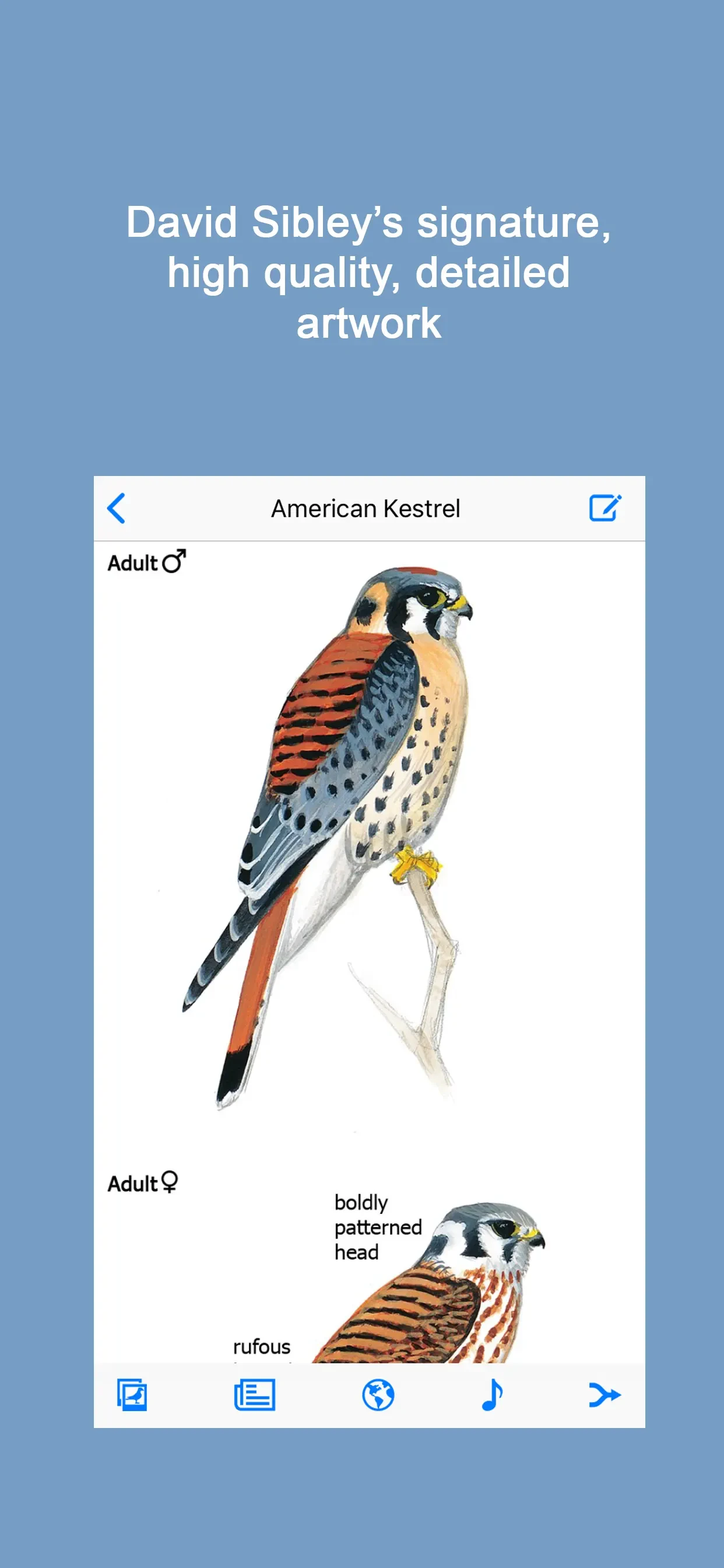 Sibley Birds 2nd Edition app store screenshot 2 — Reference (iOS)