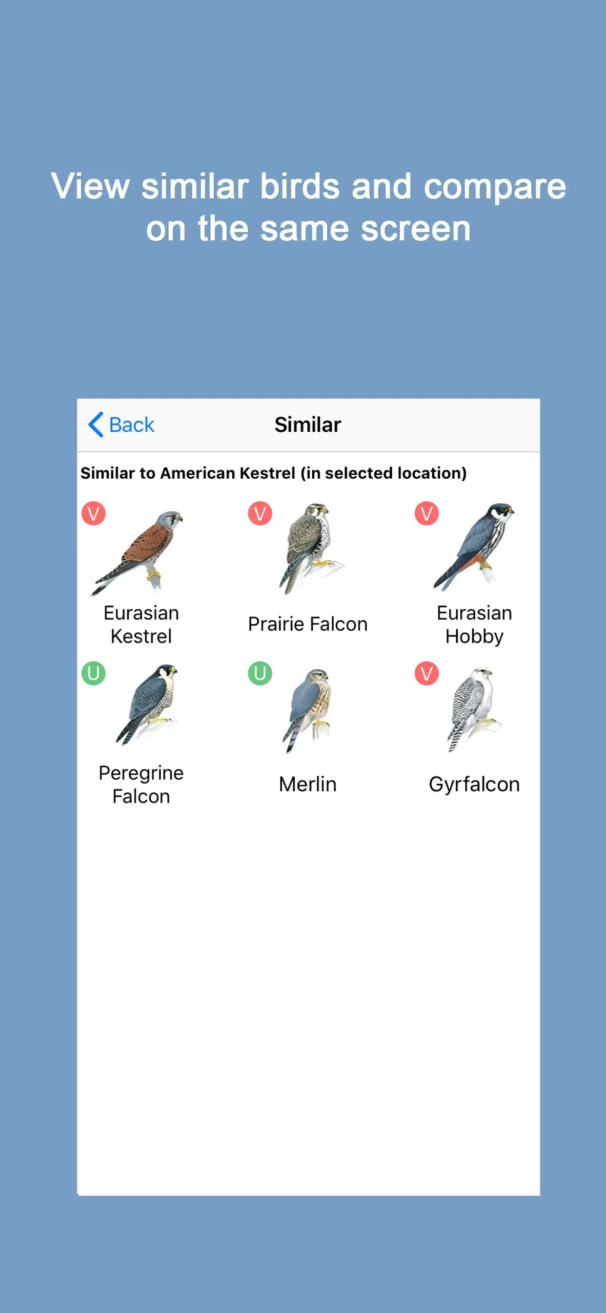 Sibley Birds 2nd Edition app store screenshot 5 — Reference (iOS)
