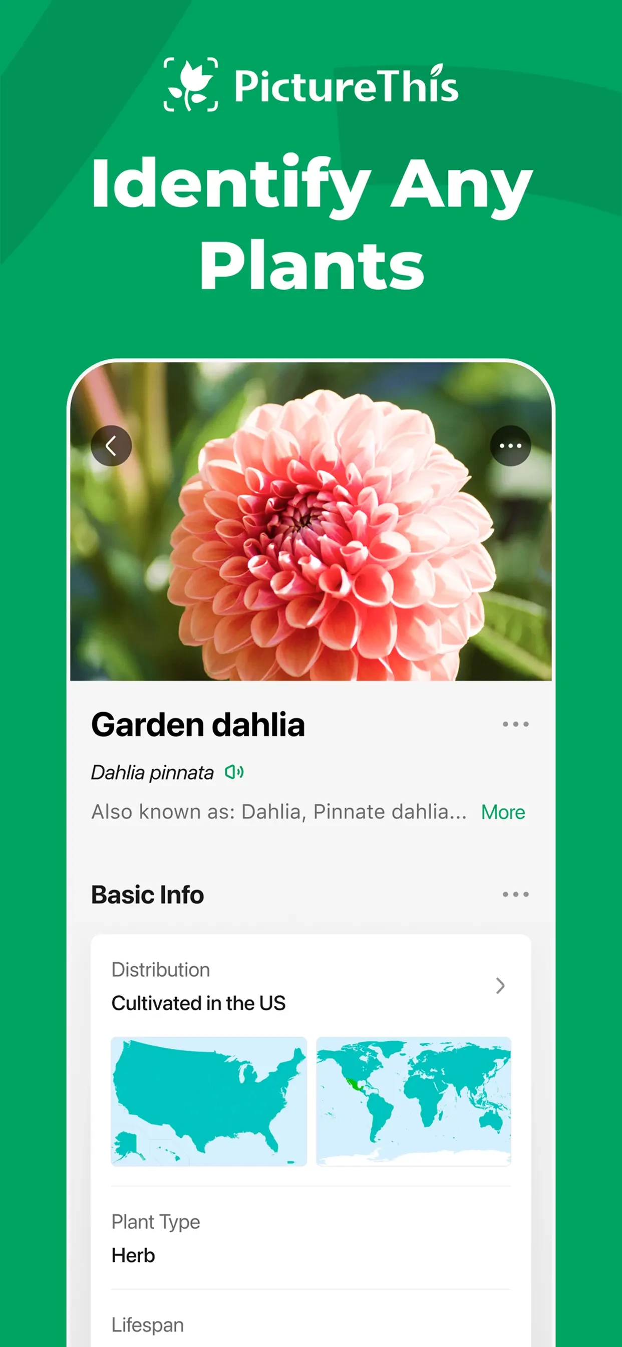 PictureThis - Plant Identifier app store screenshot 1 — Education (iOS)