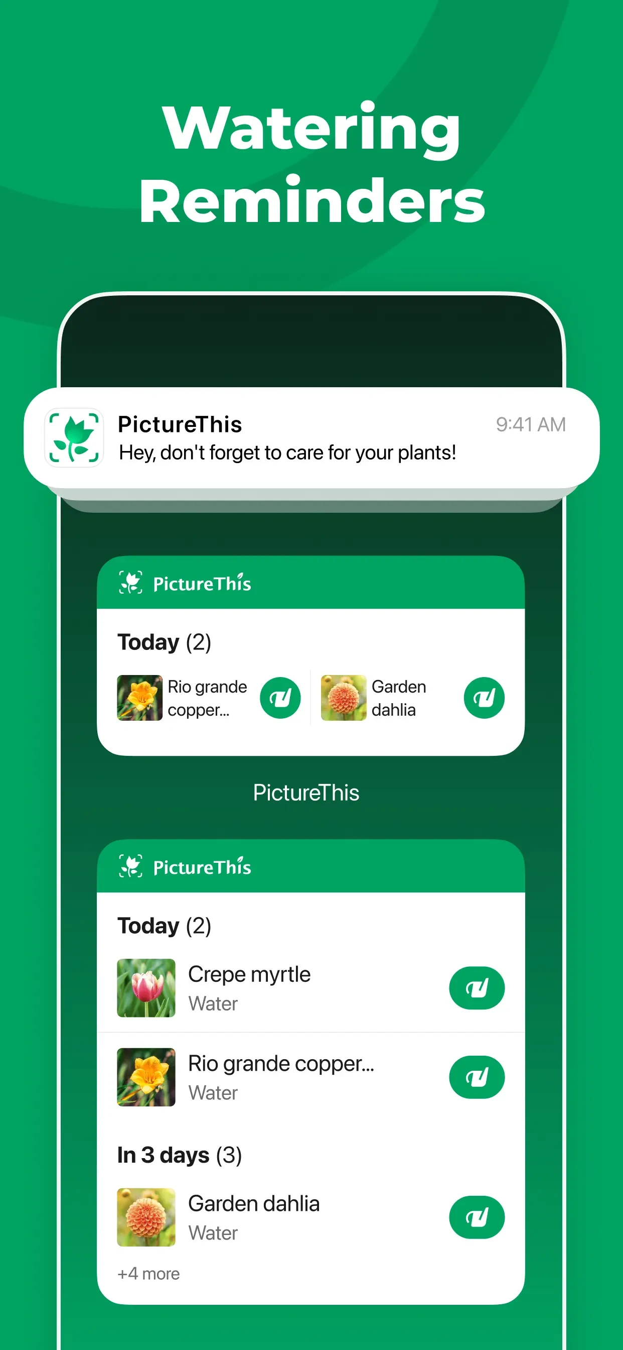 PictureThis - Plant Identifier app store screenshot 6 — Education (iOS)