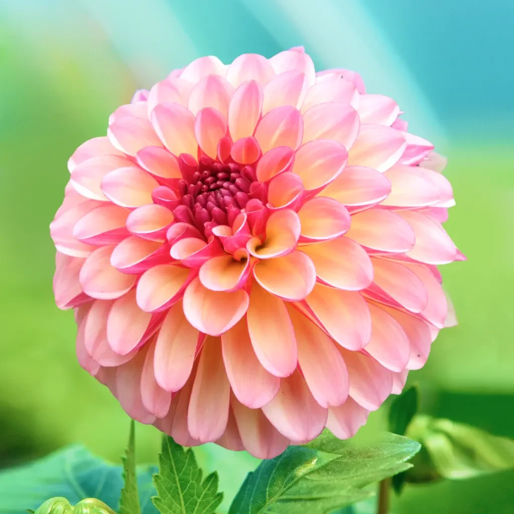 PictureThis - Plant Identifier app store screenshot 2 — Education (iOS)