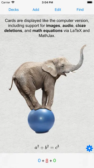 AnkiMobile Flashcards app store screenshot 1 — Education (iOS)