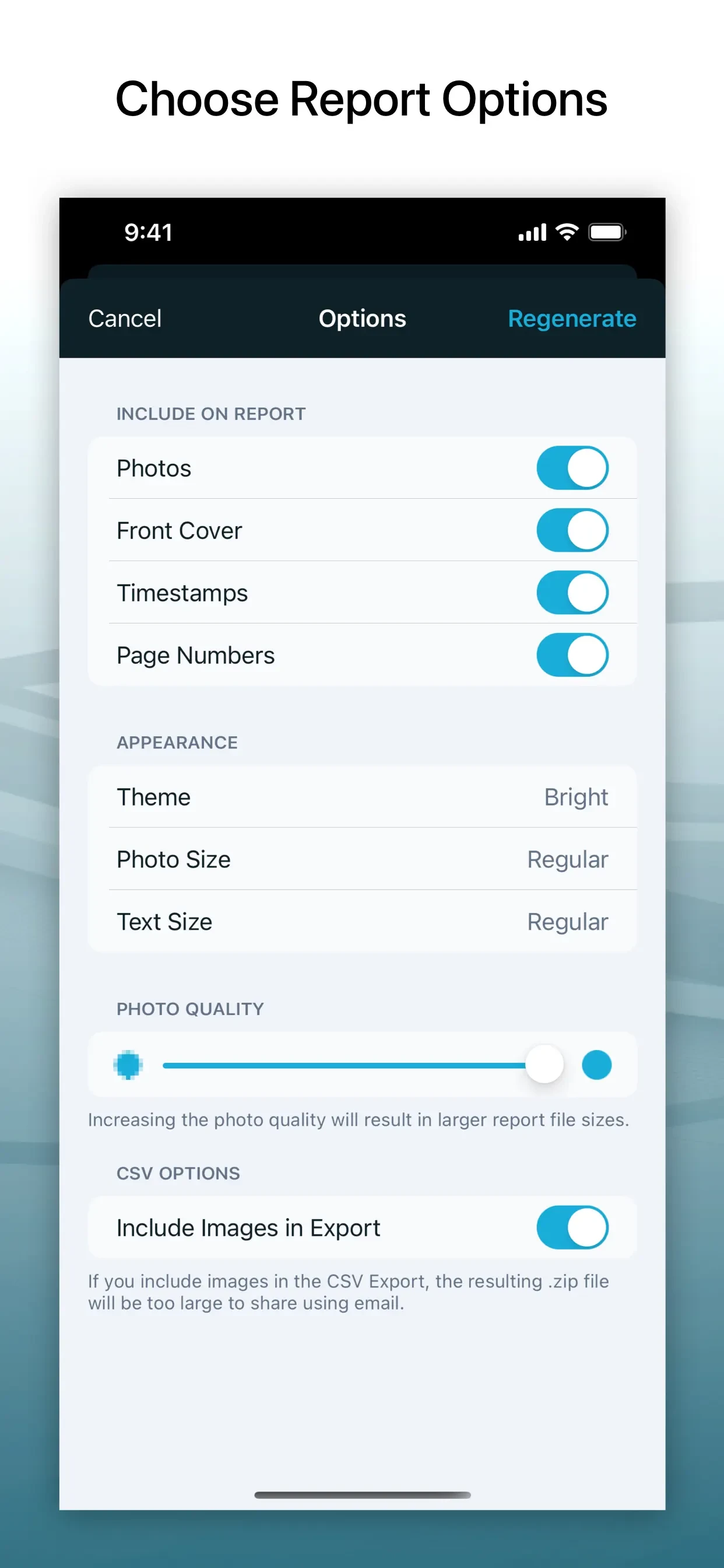 Site Audit Pro app store screenshot 6 — Productivity (iOS)