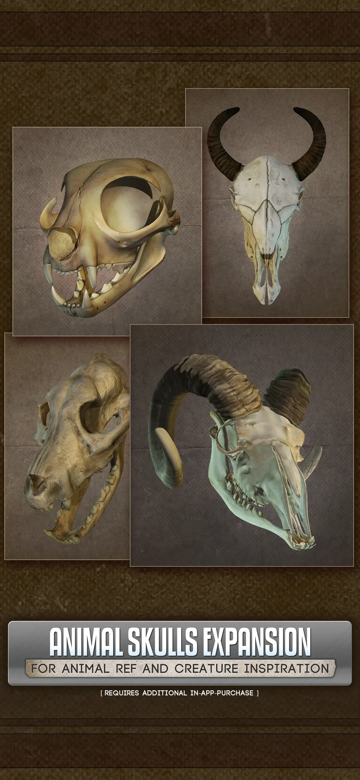 Handy Art Reference Tool app store screenshot 4 — Education (iOS)
