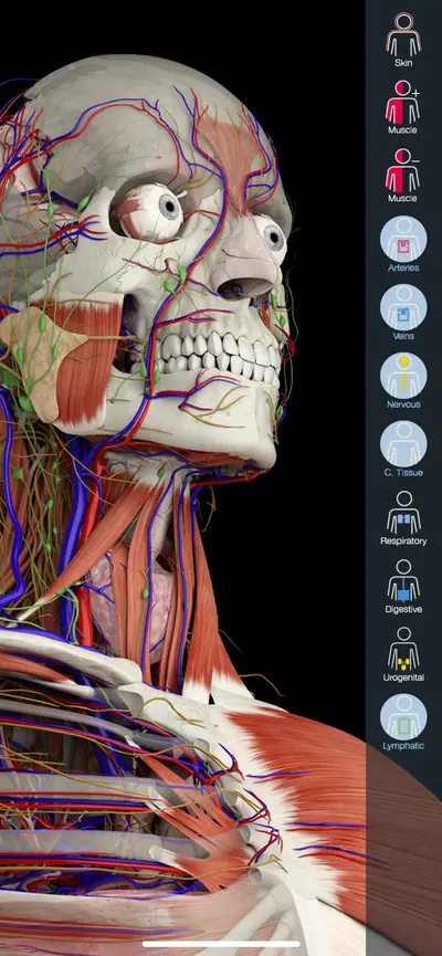 Essential Anatomy 5 app store screenshot 1 — Medical (iOS)