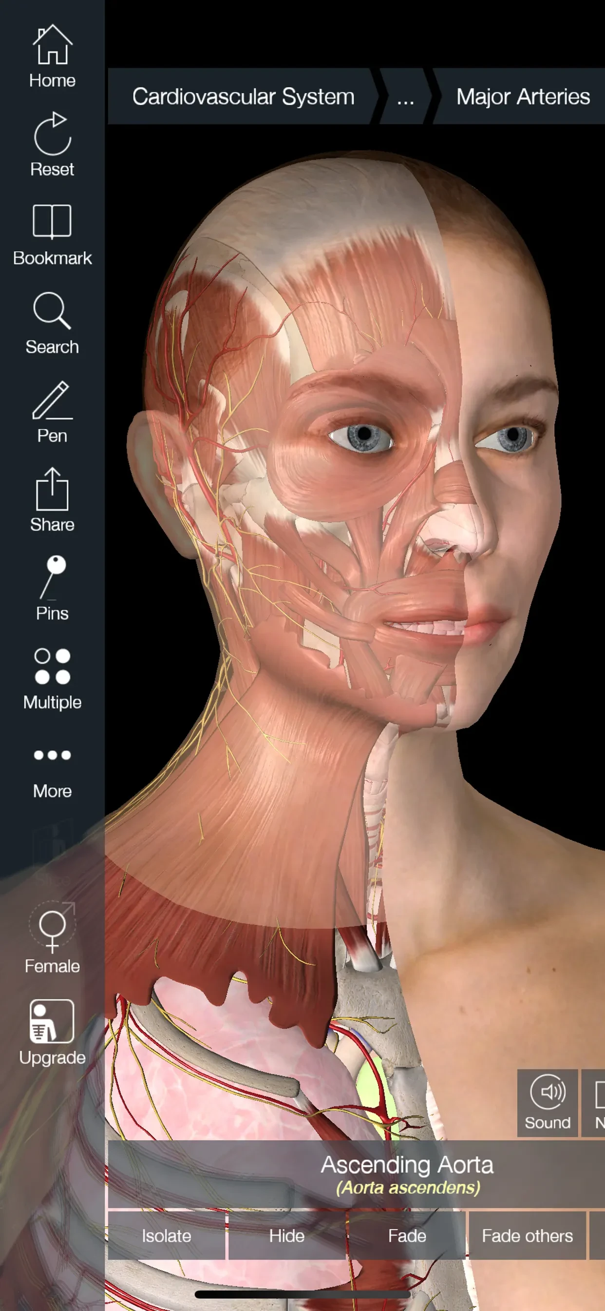 Essential Anatomy 5 app store screenshot 2 — Medical (iOS)