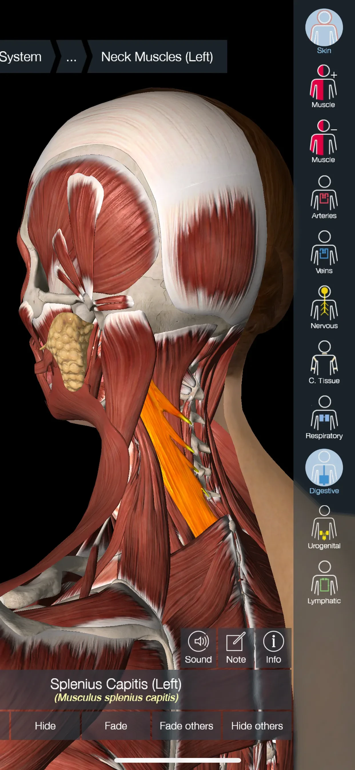 Essential Anatomy 5 app store screenshot 3 — Medical (iOS)