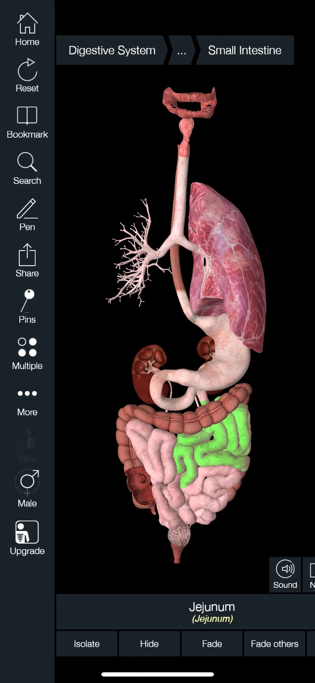Essential Anatomy 5 app store screenshot 4 — Medical (iOS)
