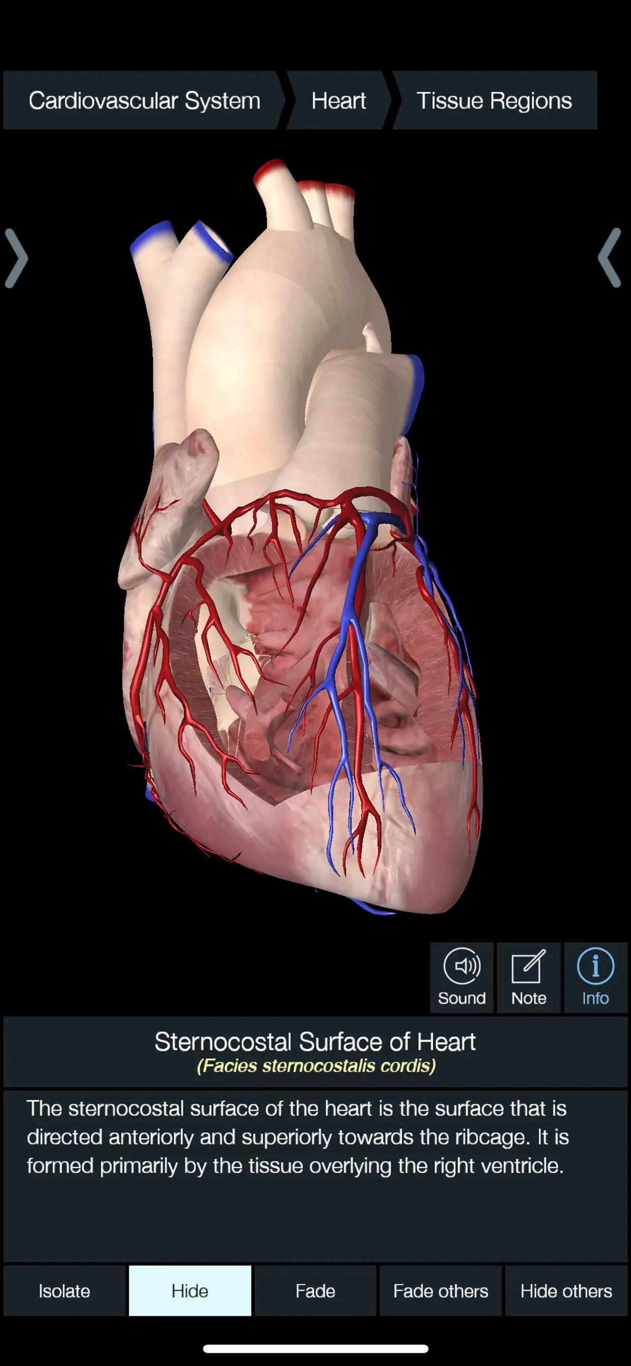 Essential Anatomy 5 app store screenshot 5 — Medical (iOS)