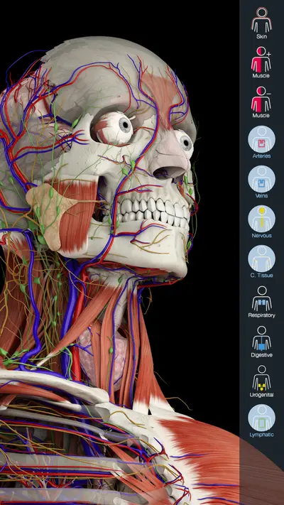 Essential Anatomy 5 app store screenshot 1 — Medical (iOS)