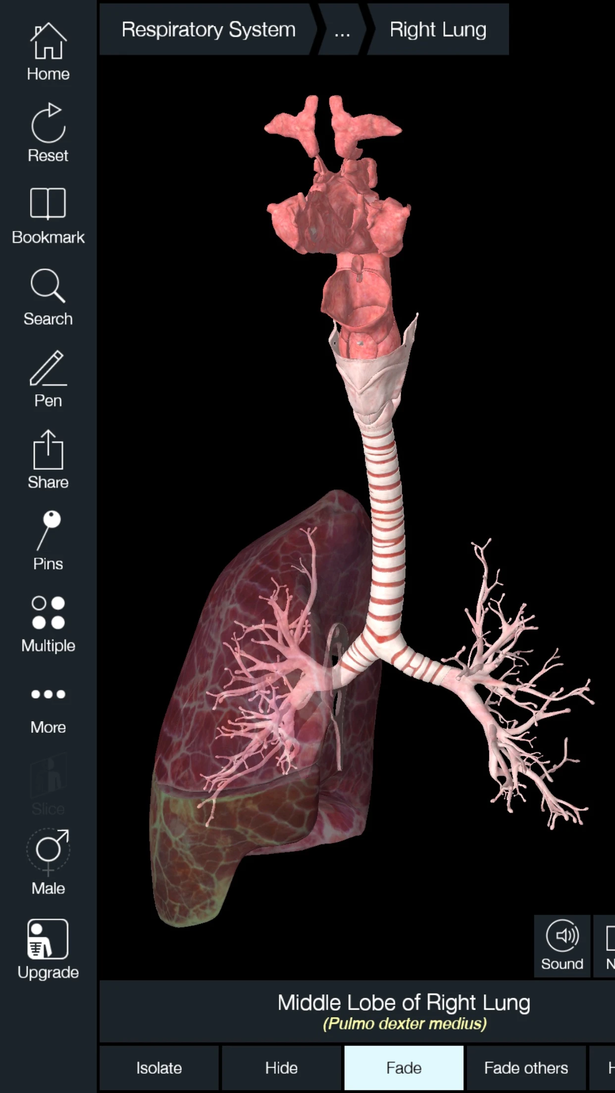 Essential Anatomy 5 app store screenshot 3 — Medical (iOS)