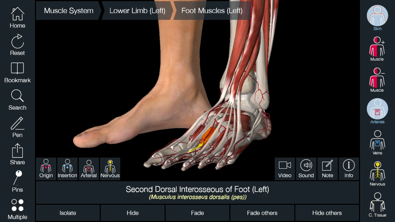 Essential Anatomy 5 app store screenshot 4 — Medical (iOS)