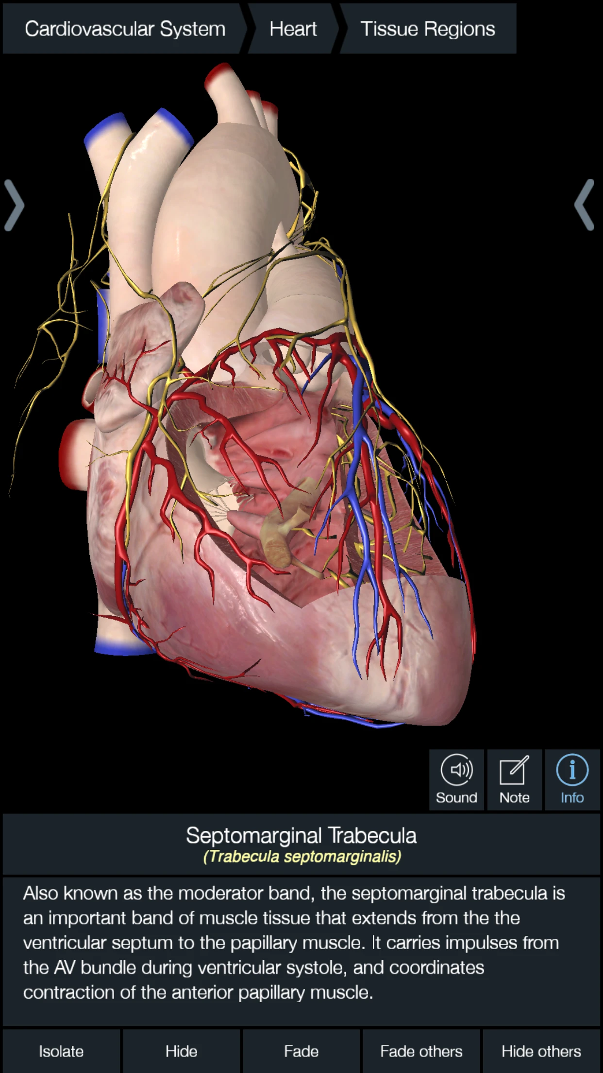 Essential Anatomy 5 app store screenshot 5 — Medical (iOS)