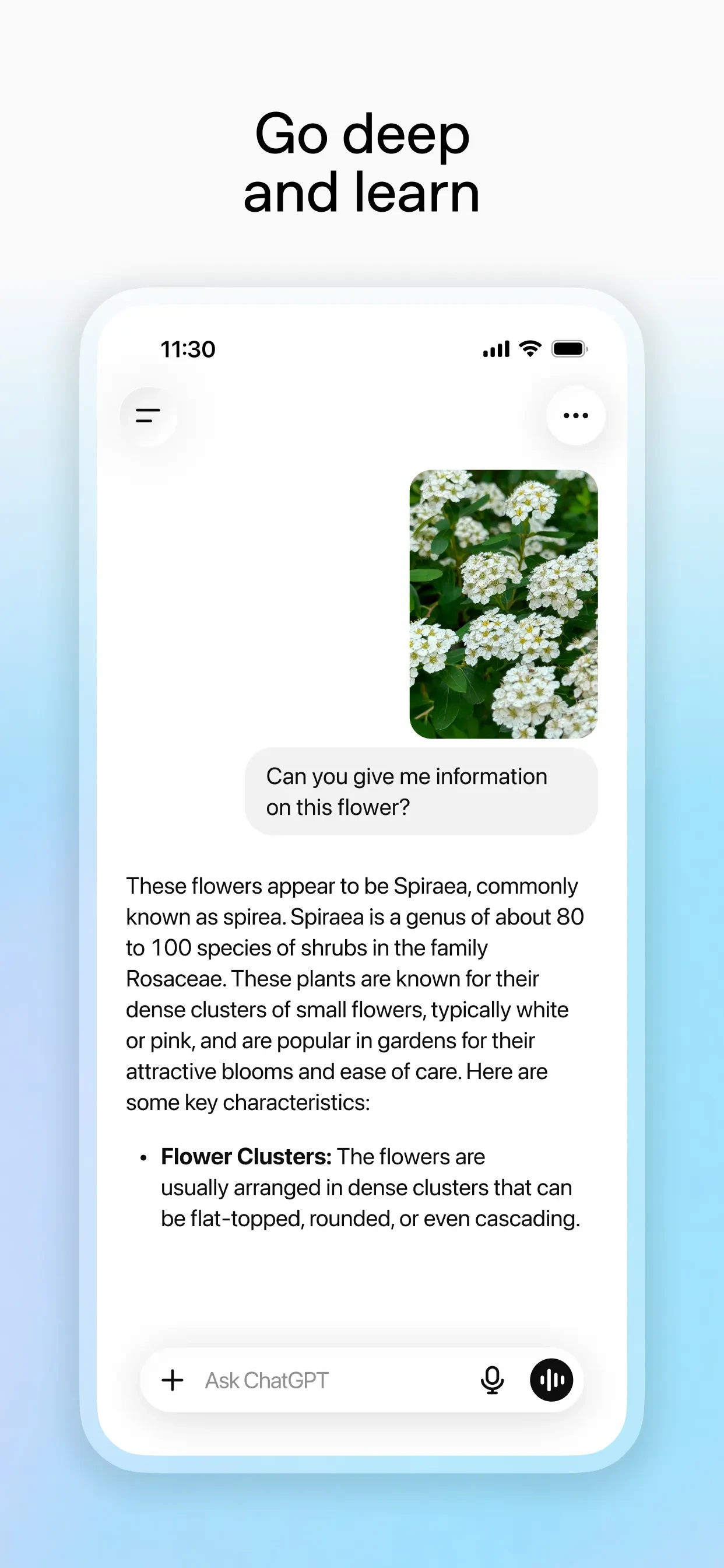 ChatGPT app store screenshot 6 — Productivity (iOS)