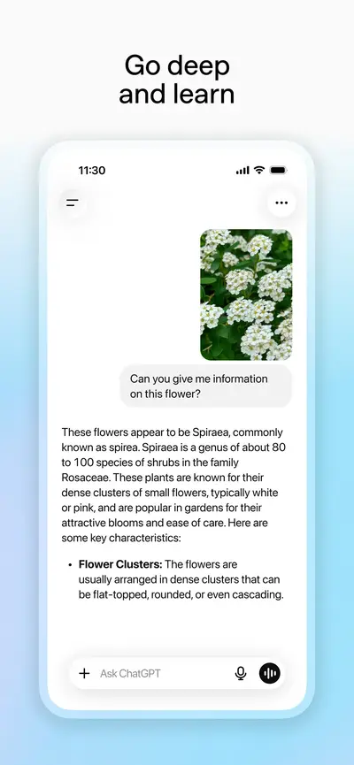 ChatGPT app store screenshot 6 — Productivity (iOS)