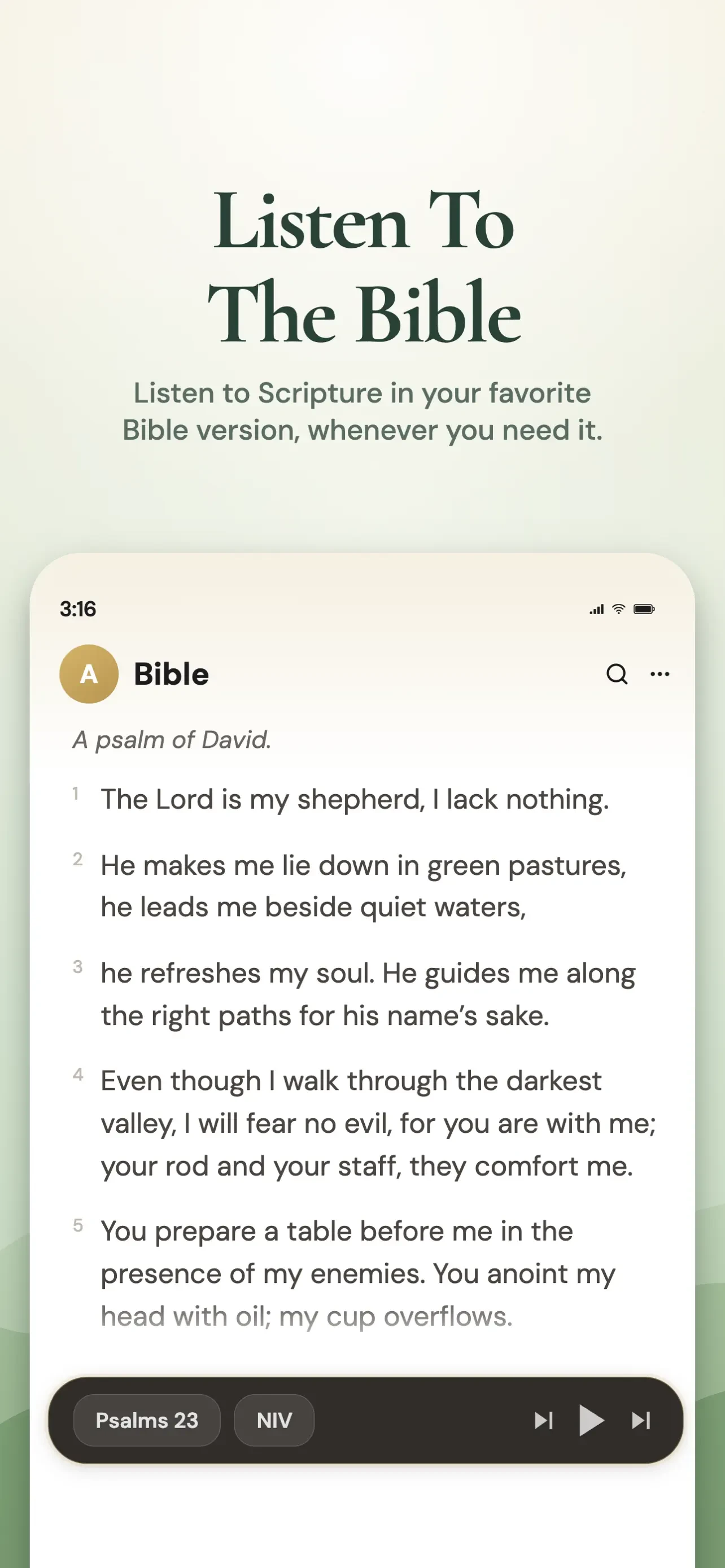 Bible Chat: Daily Devotional app store screenshot 10 — Unknown (iOS)