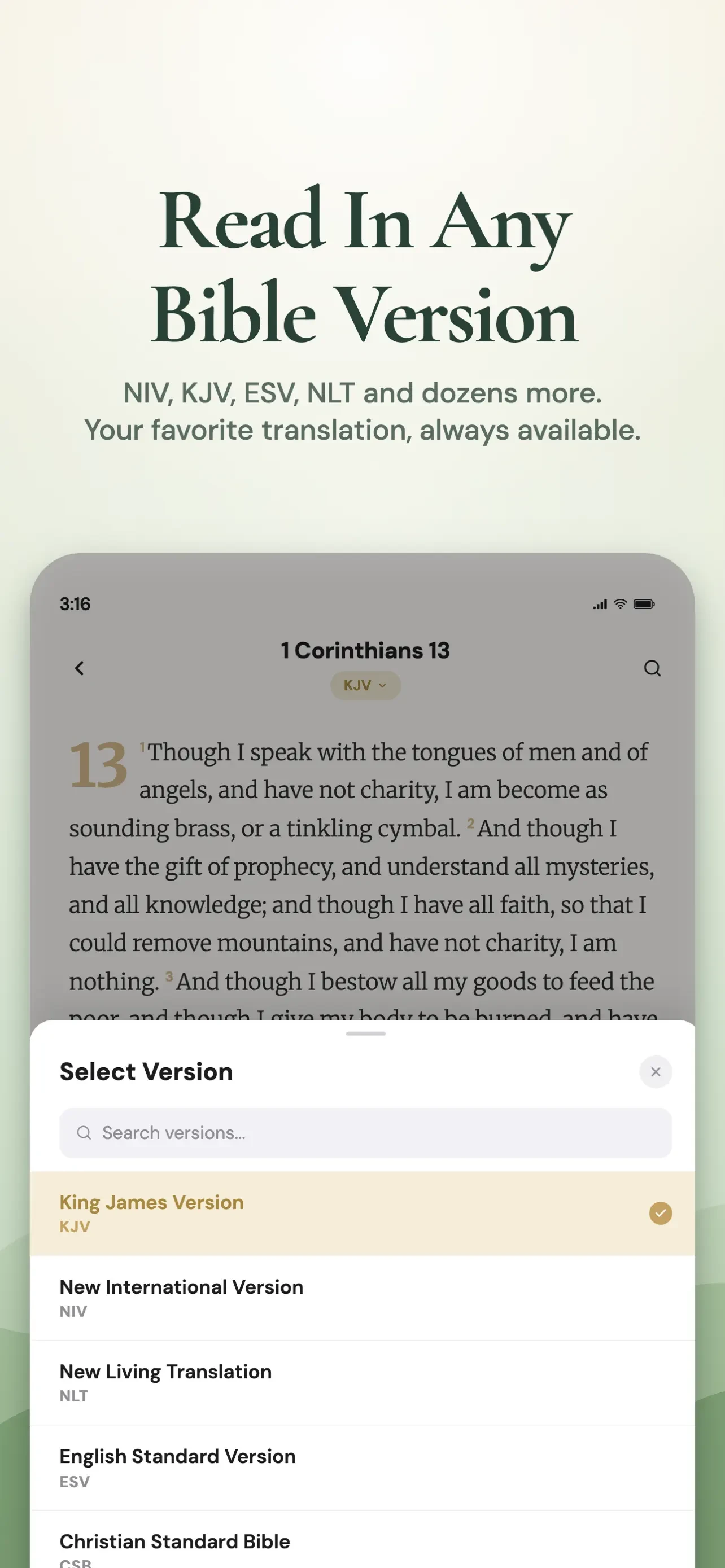 Bible Chat: Daily Devotional app store screenshot 9 — Unknown (iOS)