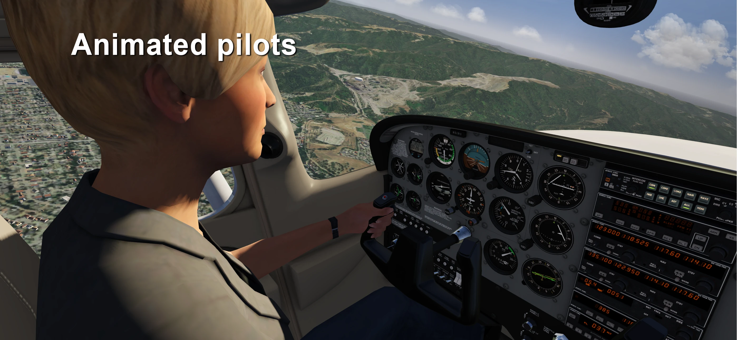 Aerofly FS Global app store screenshot 2 — Games (iOS)