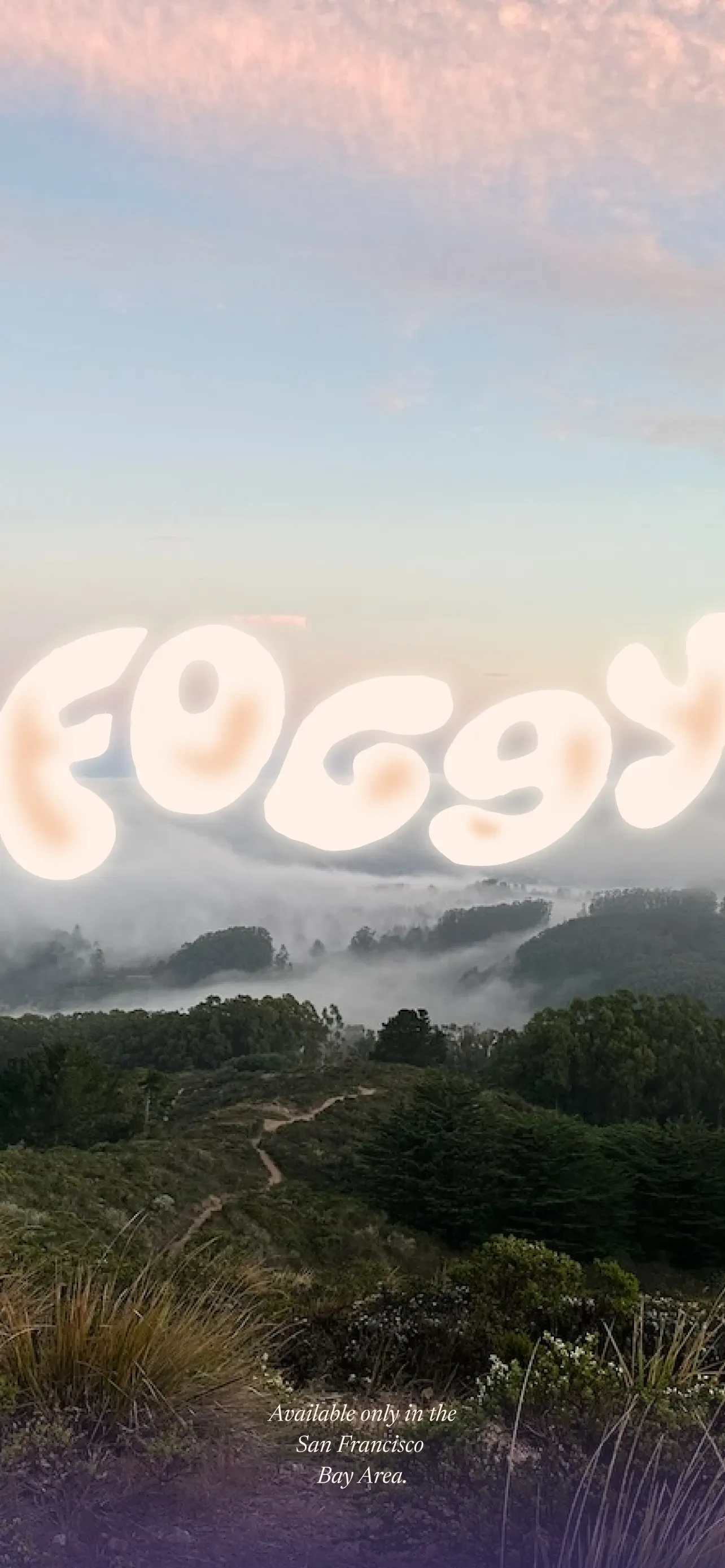Foggy: Bay Area Fog Tracker app store screenshot 1 — Unknown (iOS)