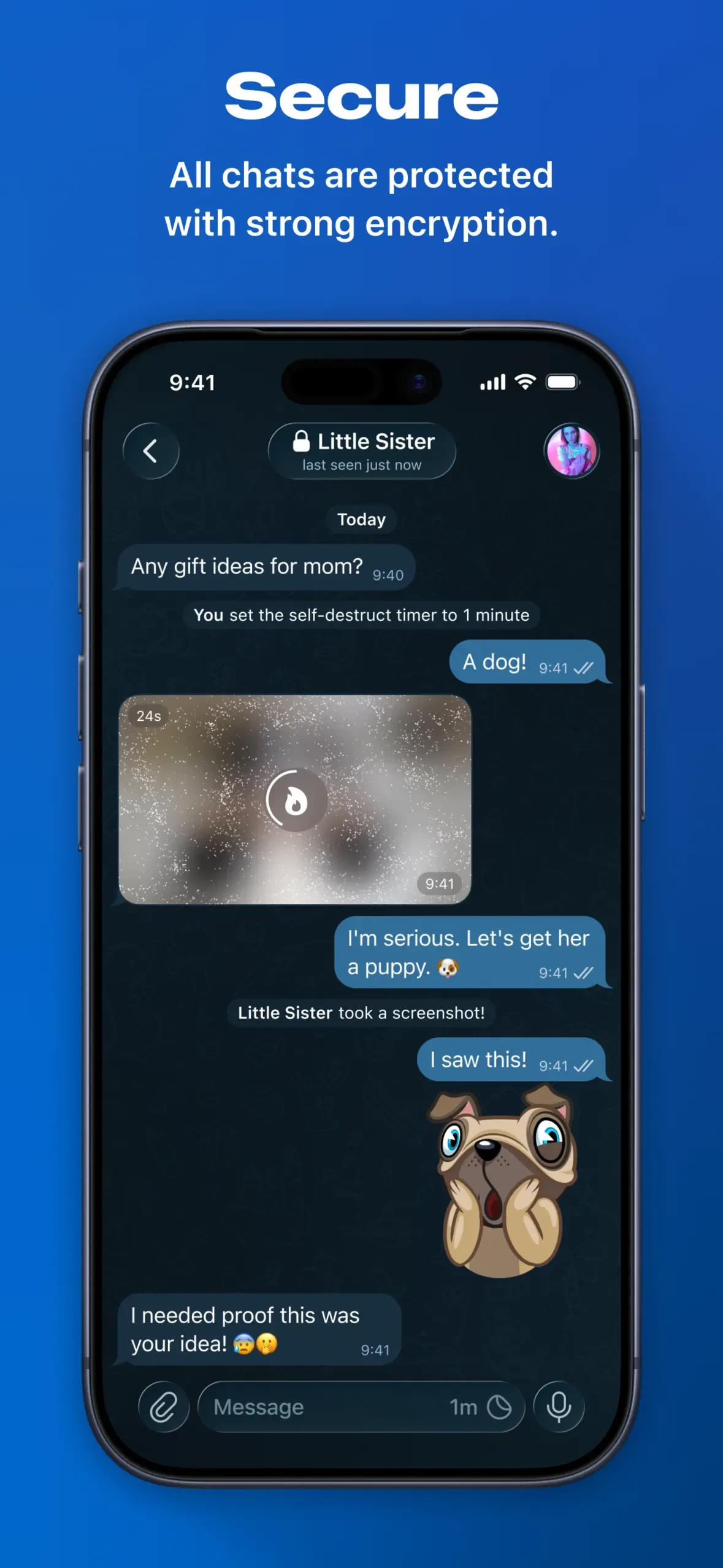 Telegram Messenger app store screenshot 4 — Social Networking (iOS)