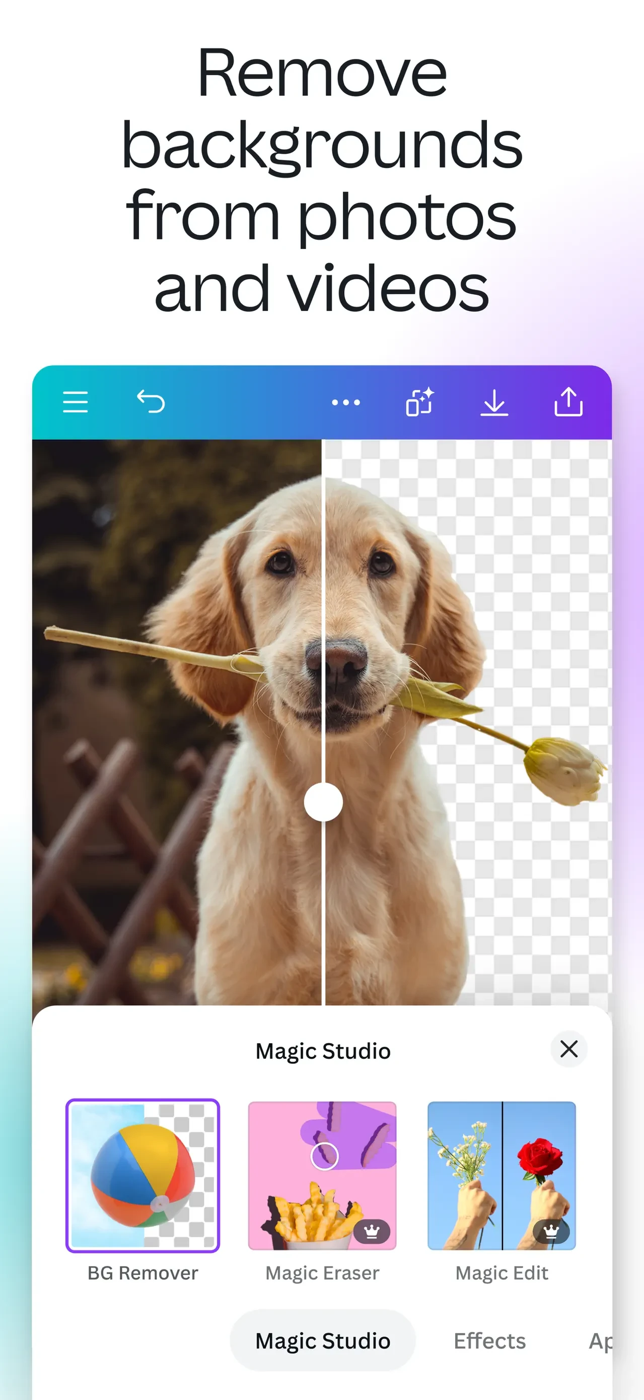 Canva: AI Video & Photo Editor app store screenshot 8 — Photo & Video (iOS)
