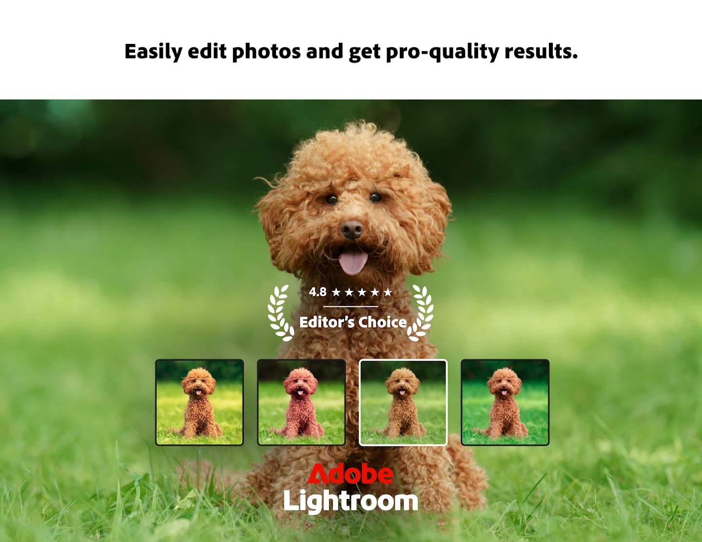 Lightroom Photo & Video Editor app store screenshot 9 — Photography (Android)