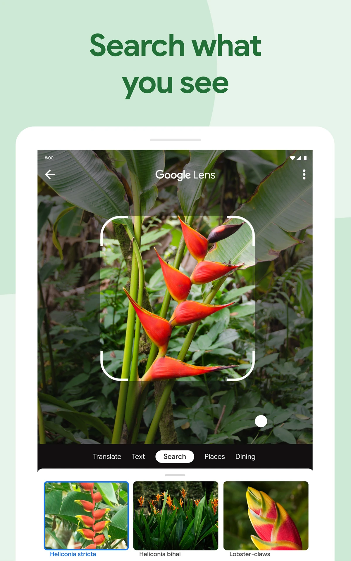 Google Photos app store screenshot 11 — Photography (Android)