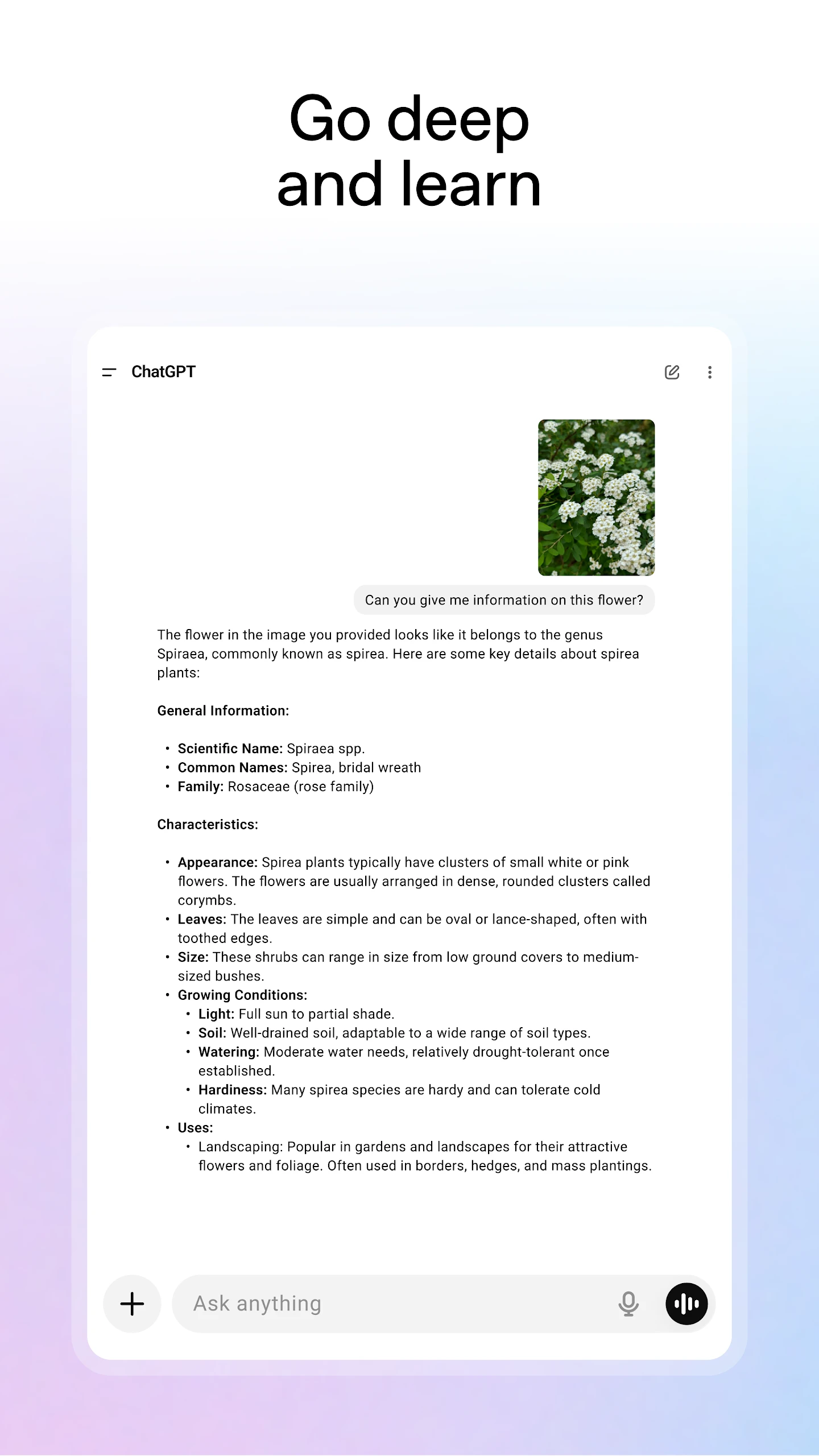 ChatGPT app store screenshot 14 — Productivity (Android)