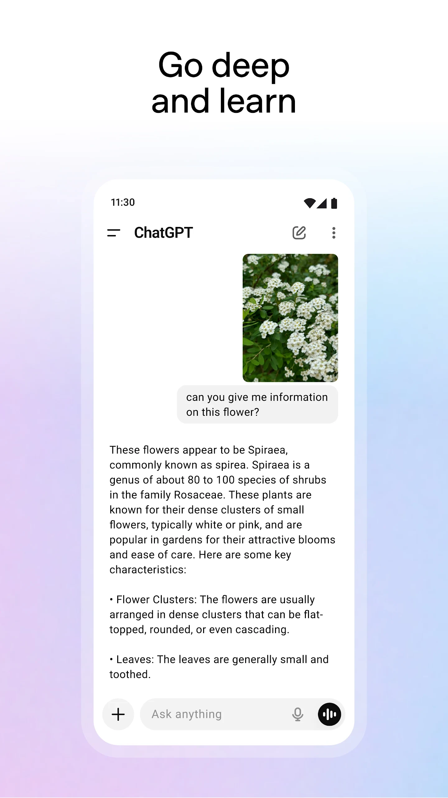 ChatGPT app store screenshot 6 — Productivity (Android)