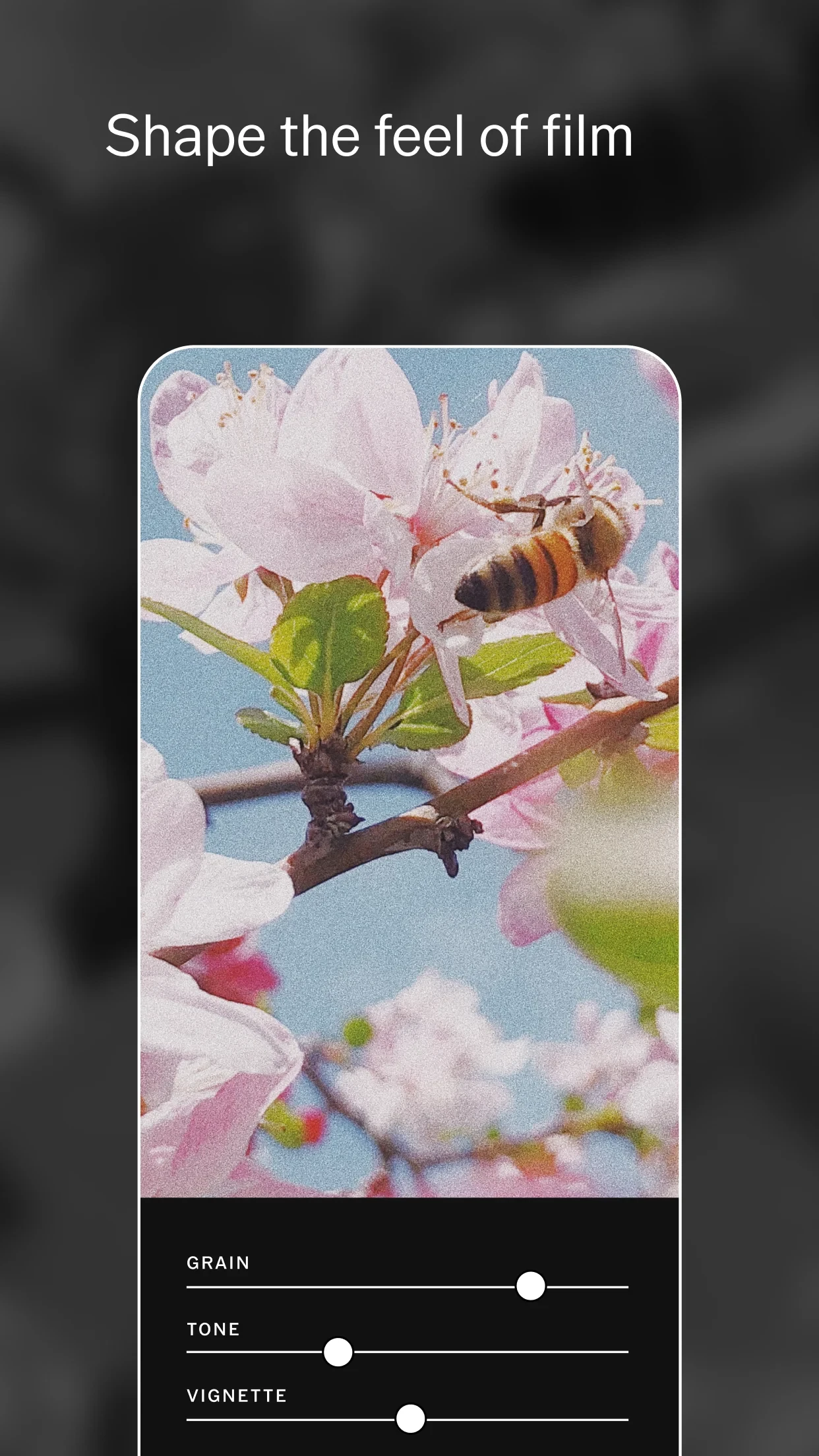 VSCO: Photo Editor app store screenshot 4 — Photography (Android)
